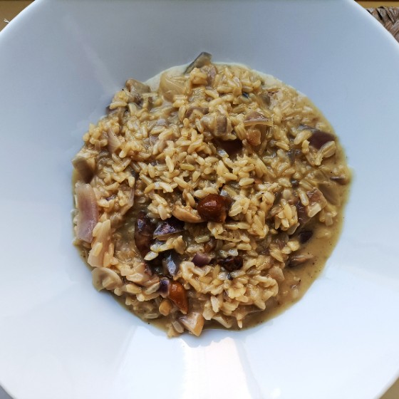 risoto redes